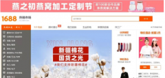 電商咨詢